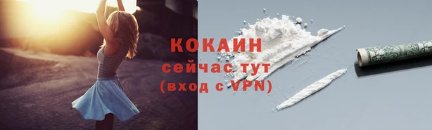 дживик Володарск