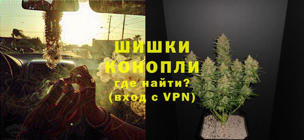 дживик Володарск