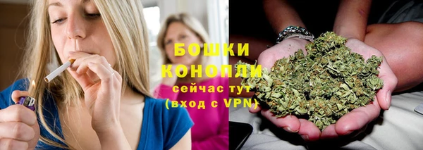 дживик Володарск